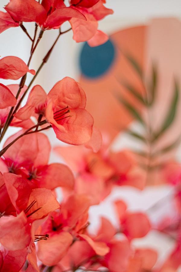 Vibrant City Abode - 2 Bed 2 Bath Appartement Christchurch Buitenkant foto